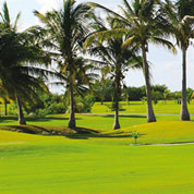 C�sped Terrenos secos - 5 kg - 175m2